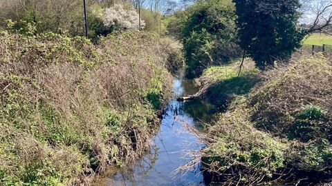View looking down the stream at Abbey Fields Kenilworth