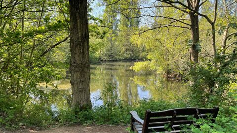 Bench overlooking pool at Brandon Marsh