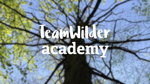 background photo of a tree with 'TeamWilder Academy' in white text