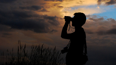 Bird Watching