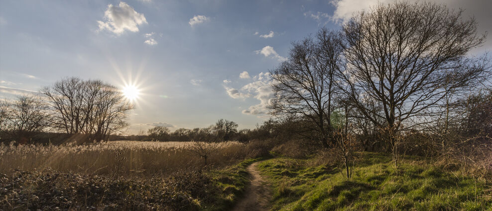 Brandon Marsh | Warwickshire Wildlife Trust