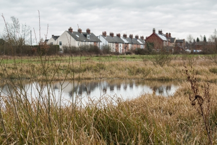 Alvecote Meadows Pond and housing in the background