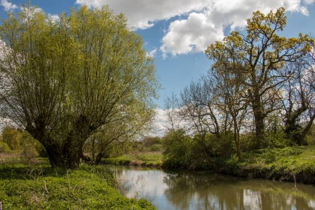 Leam Valley | Warwickshire Wildlife Trust