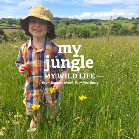 Bryn playing in a meadow