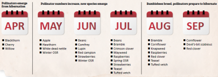 Pollinator calendar
