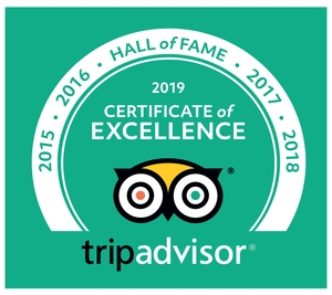 TripAdvisor 2019 Hall of Fame Logo