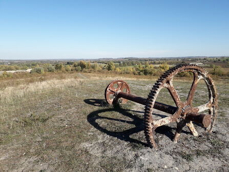 Bishop's Hill. Karl Curtis