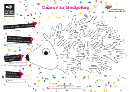 Hedgehog-Colouring-Activity-Sheet-Thumbnail