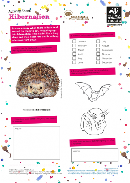 Hibernation-Activity-Sheet-Thumbnail