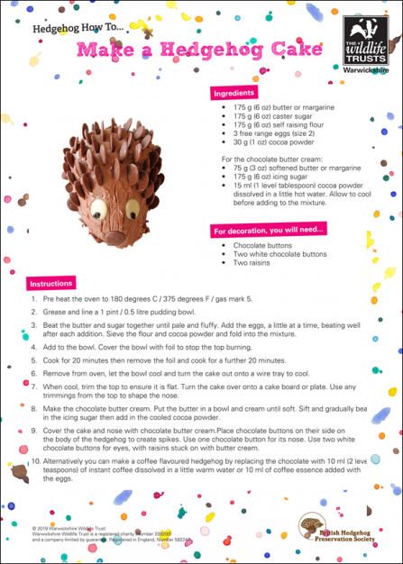 How-to-make-a-Hedgehog-Cake-Thumbnail