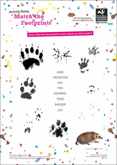 Match-the-Footprints-Activity-Sheet-Thumbnail