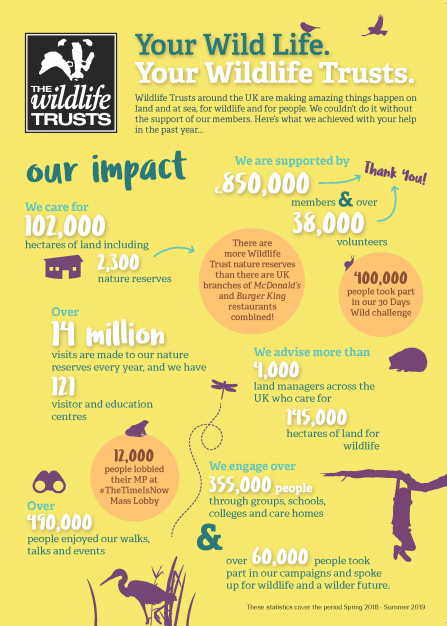 National Impact Statistics infographic