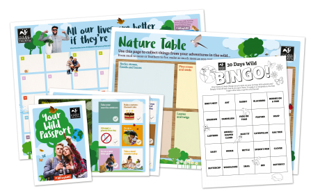 30 Days Wild 2020 Individuals digital pack