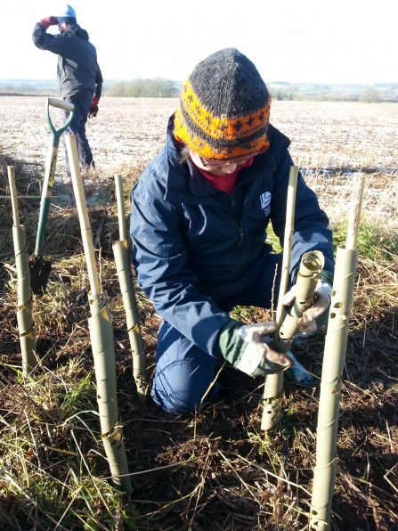 Man-Lan helping with planting as part of her hands-on training