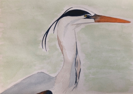 Heron drawing Deborah Wright