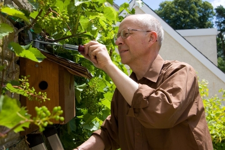 Bird Box Installation Credit Dave Kilbey RSWT