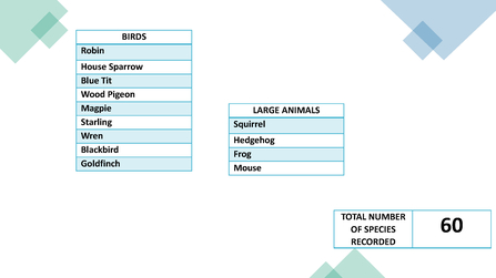 Supporter Amy's other species list 2020