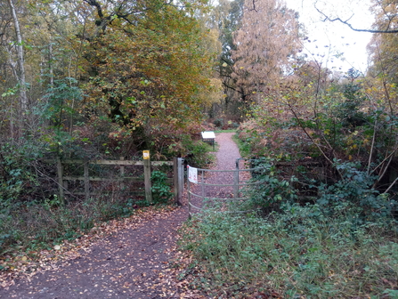 Greenway entrance to CW Jo Hands