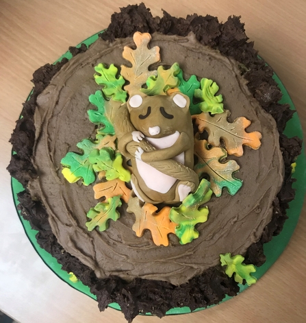 Dormouse cake