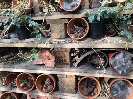 Bug Hotel credit Paula Irish WKWT