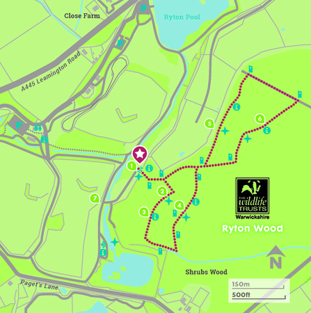 Ryton Wood figure of eight trail route map