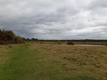 Bubbenhall Meadow Nov 2020 Jo Hands