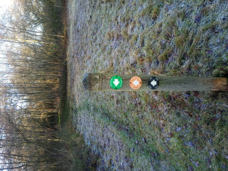 Waymarker at Whitacre Heath Jo Hands