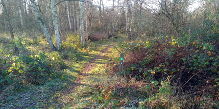 Start of circular trail at Whitacre Heath Jo Hands