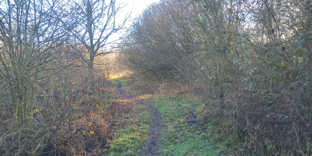 Whitacre Heath path Jo Hands