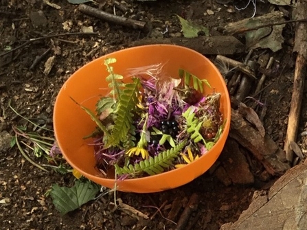 Collection of leaves and flowers in a bowl