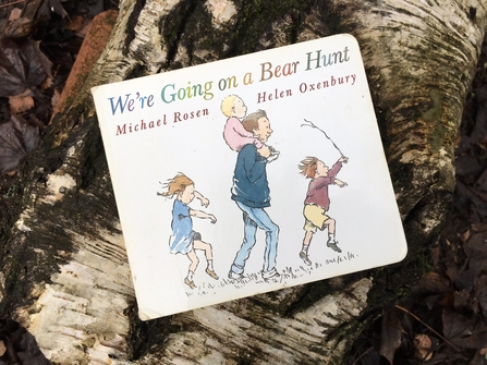 Picture of the children's book We're Going on a Bear Hunt by Michael Rosen and Helen Oxenbury