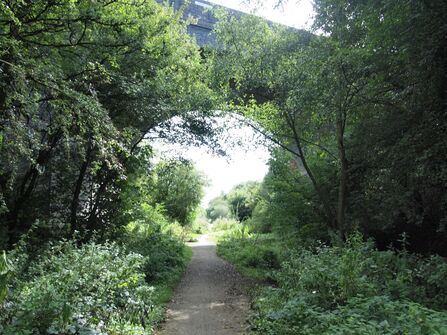 path under railway bridge