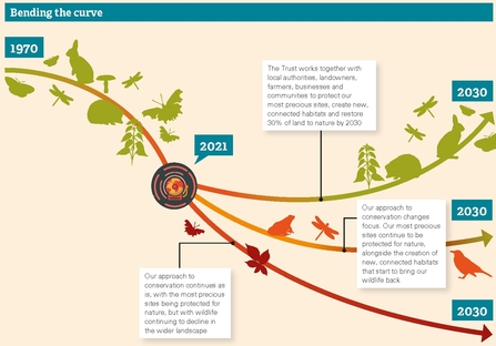 Bending the curve appeal graphic