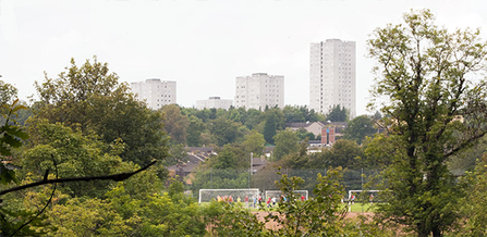 Flats and woodland