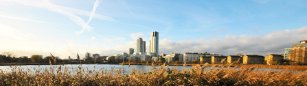 Reedbed and flats