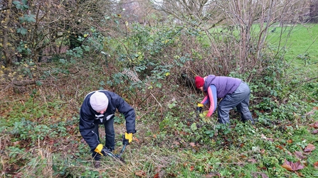 Litter picking and scrub management