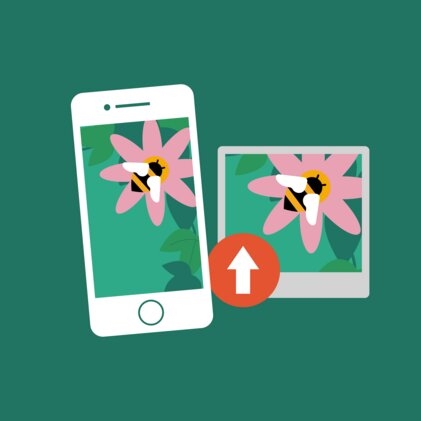 A phone with a picture of a bee on it