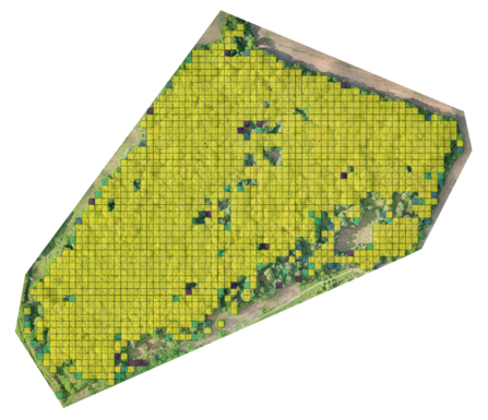 Piles Coppice drone survey showing canopy gaps