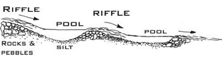 Lake View Park Riffle Diagram