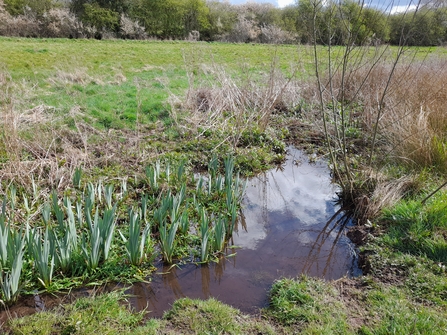 Coundon Wedge Old Channel Holding Water