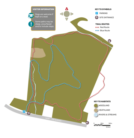 A map of Rough Hill Wood Map