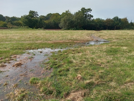 Coundon Wedge River flowing down old channel again