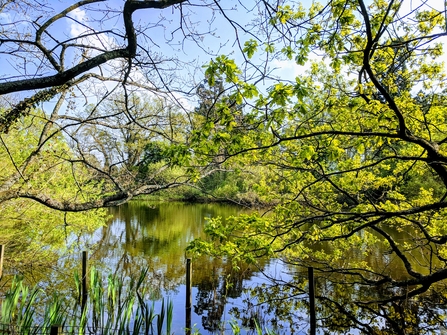 Parkridge reserve