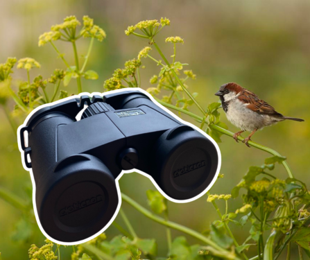Binoculars