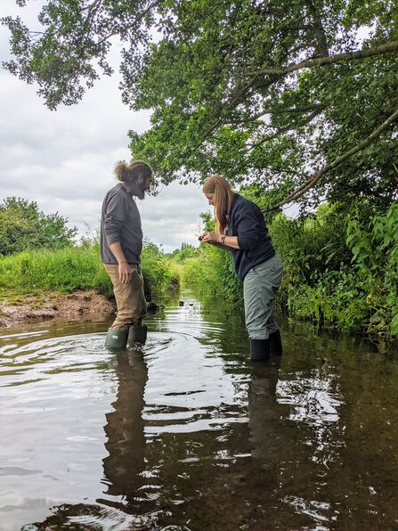 River Sherbourne sampling