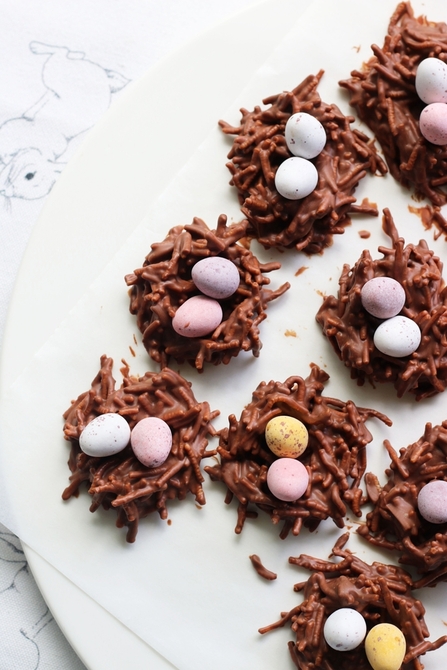 Chocolate peregrine nests