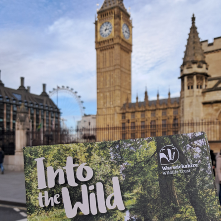 booklet in front of houses of parliament