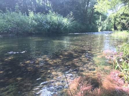 River Arrow