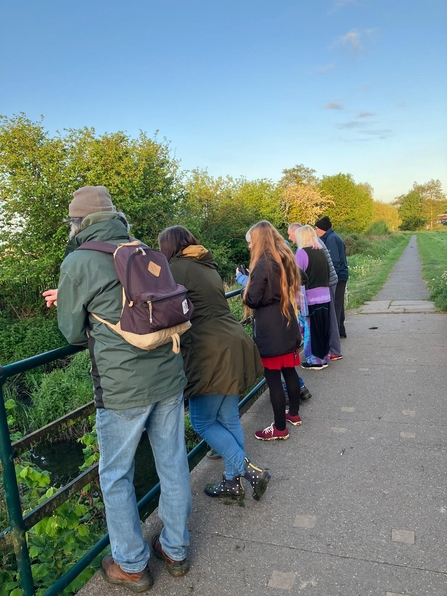 A group of people looking over the edge of a bridge on a dawn chorus walk