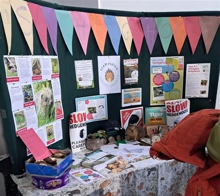 Photo of the warwickshire wildlife trust stall at the patchwork event with bunting, posters, and information sheets